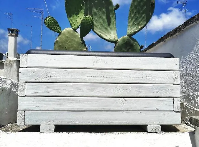 Mameli 24 Сasa de vacaciones